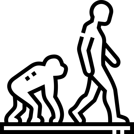 Ícone de História
